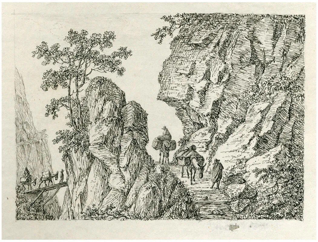 Reizigers Op Een Bergpad