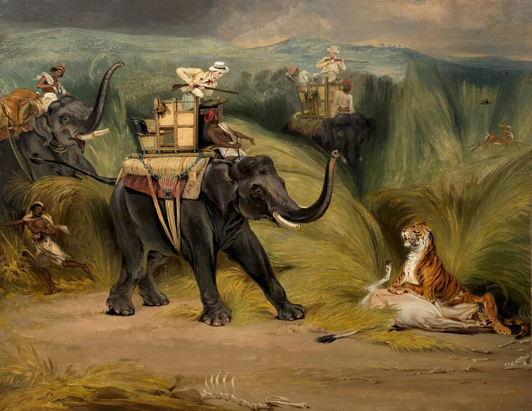 Rencontre Fortuite Avec Un Tigre Lors Dune Chasse A Dos Delephant En Inde Wall Art by William Henry Florio Hutchinsson - High-Resolution Digital Print