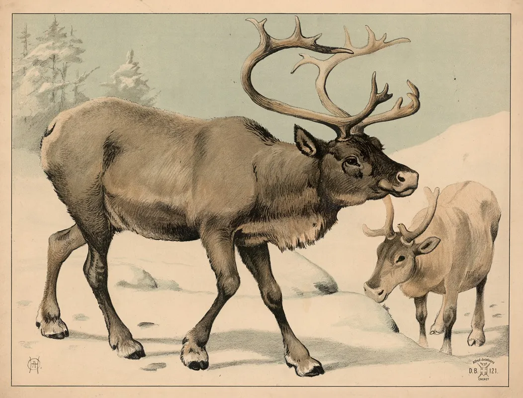 Rensdyr Variant