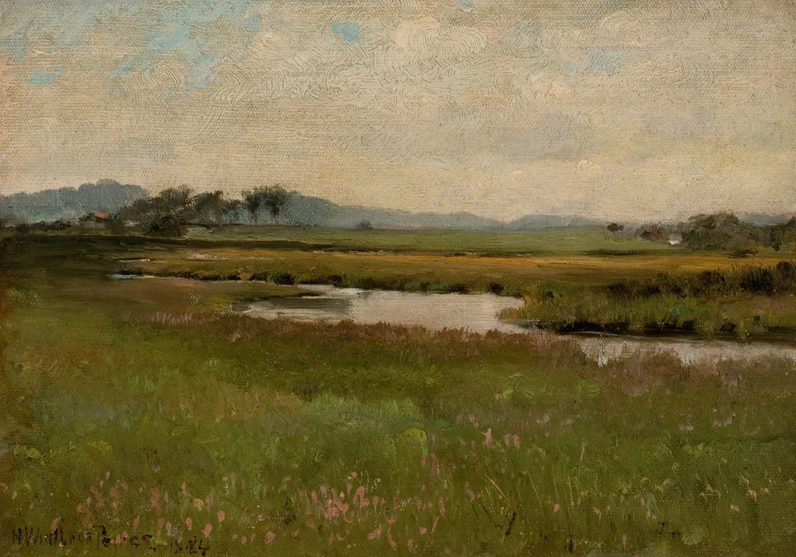Revere Marshes