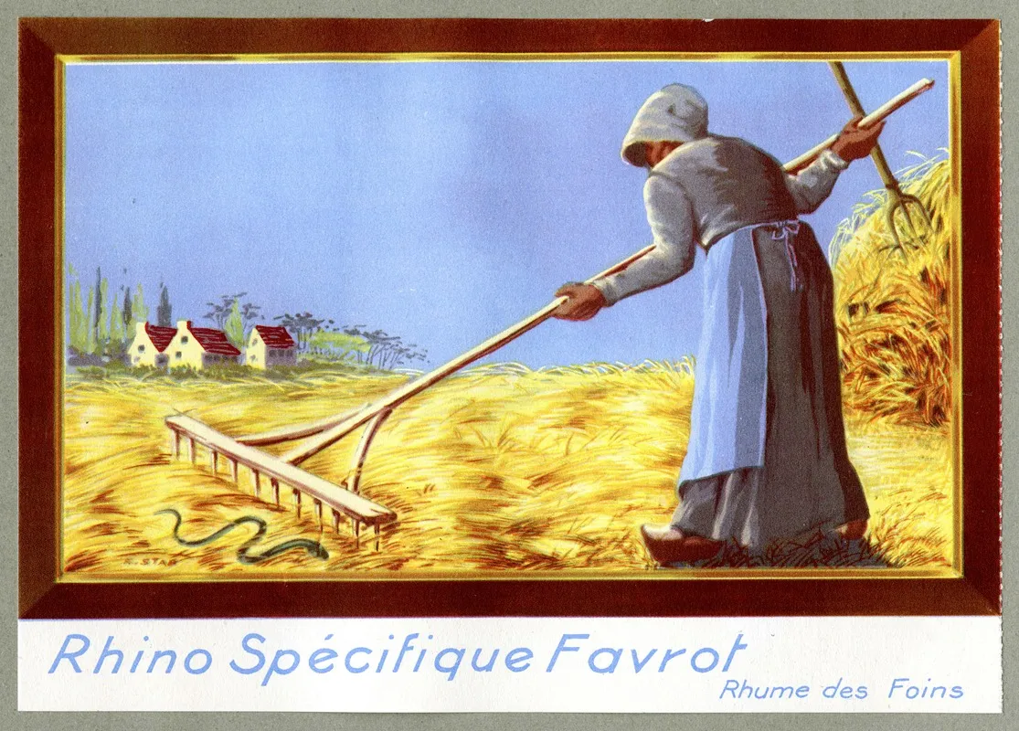 Rhino Specifique Favrot 2 Wall Art by Laboratoires docteur H. Ferré - High-Resolution Digital Print