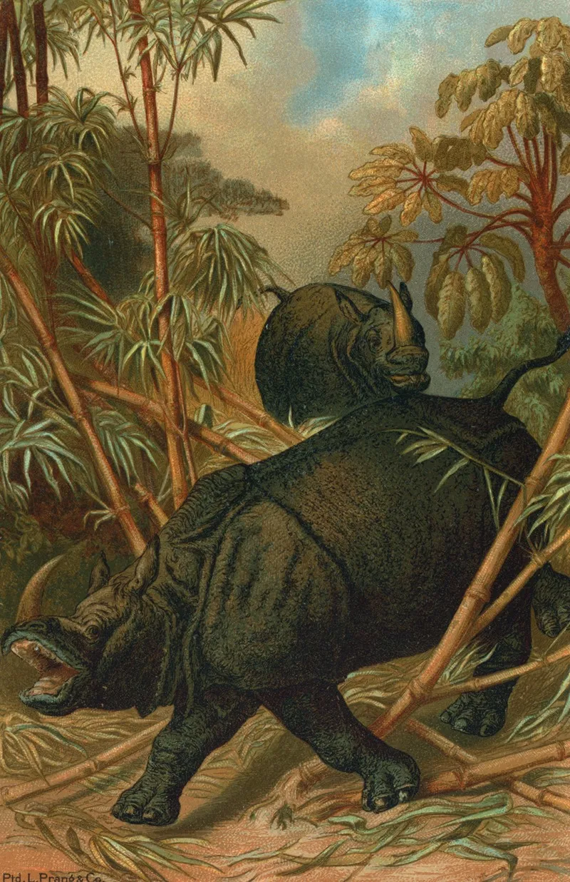 Rhinoceros 2 Wall Art by John George Wood - High-Resolution Digital Print