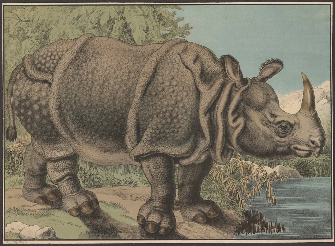 Rhinoceros 7 Wall Art by Emil Sachsse - High-Resolution Digital Print