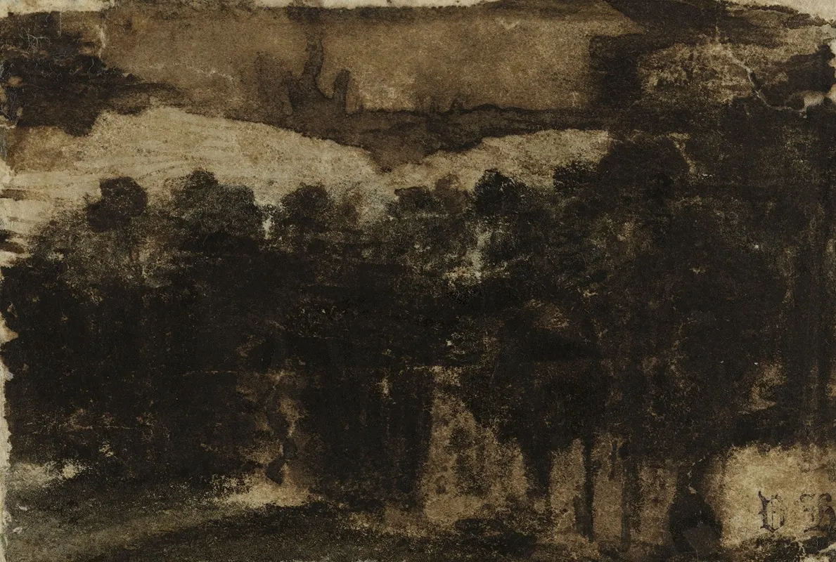 Rideau Darbres Au Bord De Leau
