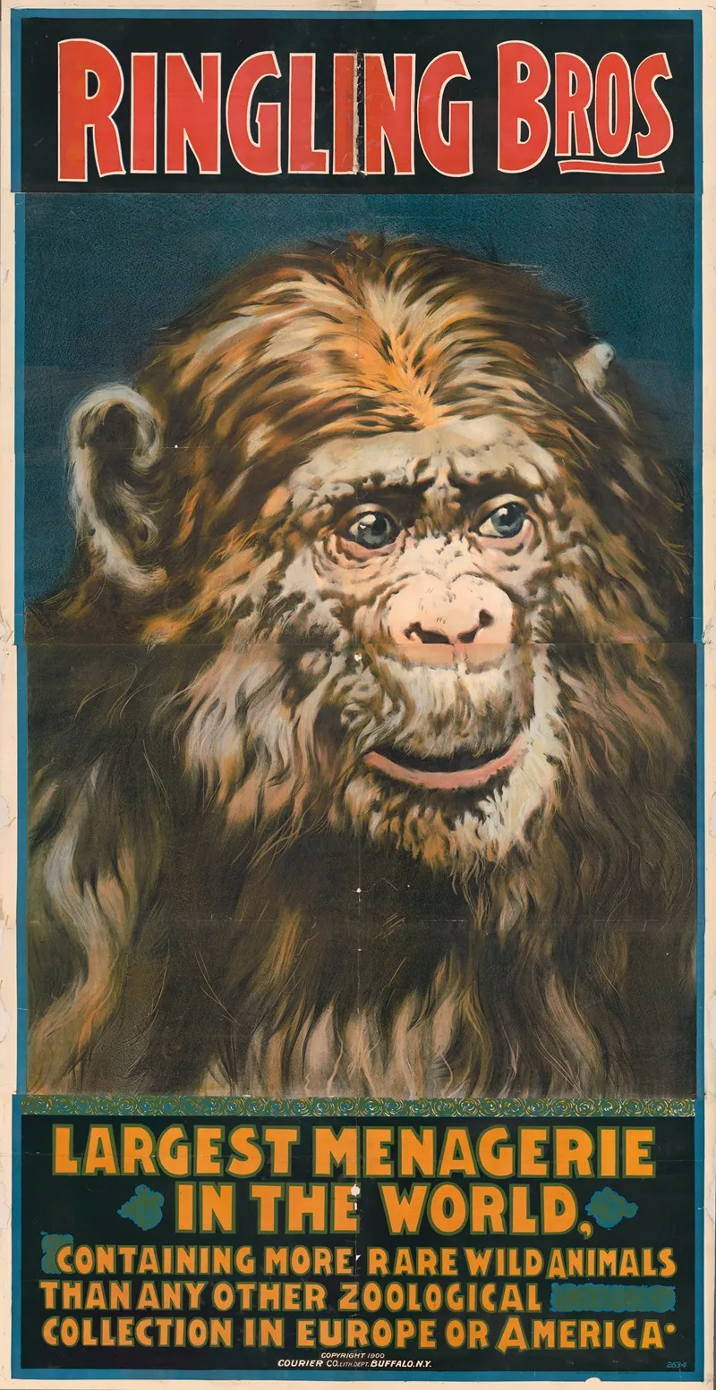 Ringling Bros Largest Menagerie In The World Containing More Rare Animals Wall Art by Courier Litho. Co. - High-Resolution Digital Print