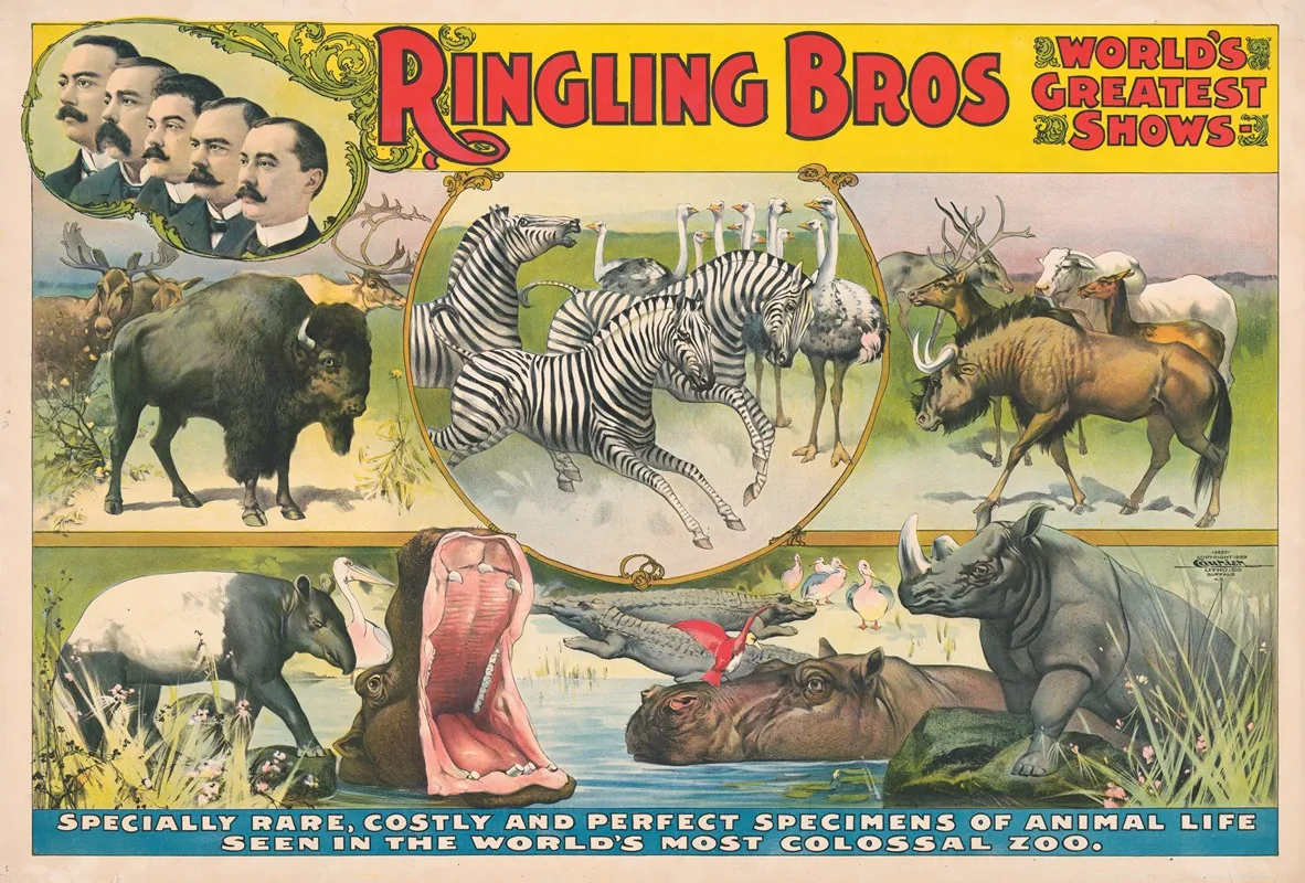 Ringling Bros Worlds Greatest Shows Specially Rare Costly And Perfect Specimens Of Animal Life In Colossal Zoo Wall Art by Courier Litho. Co. - High-Resolution Digital Print