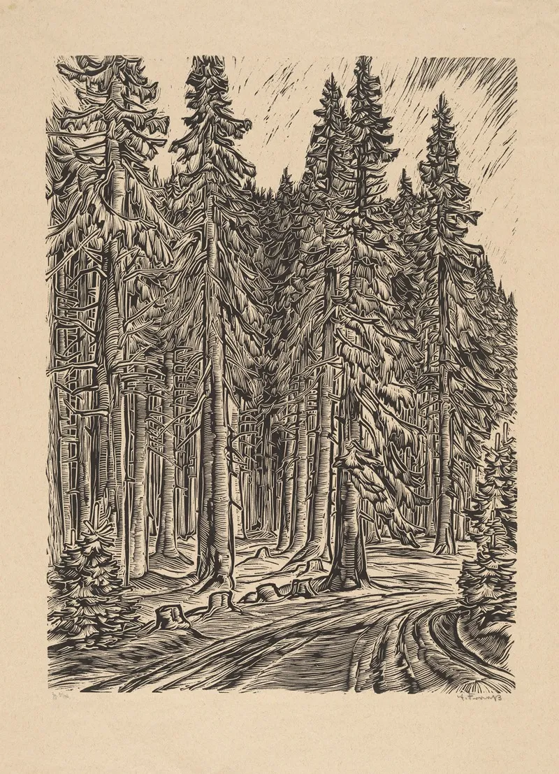 Road Through Spruce Forest Wall Art by Erich Fraass - High-Resolution Digital Print