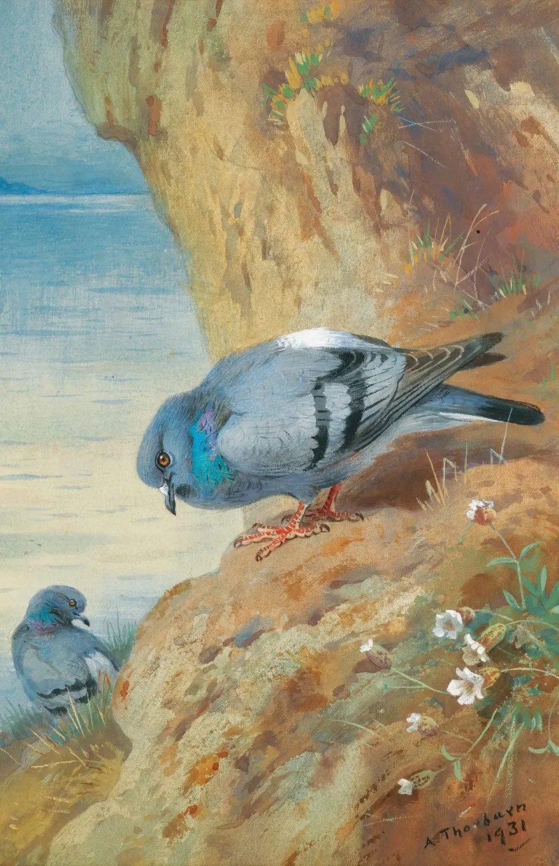 Rock Doves Wall Art by Archibald Thorburn - High-Resolution Digital Print