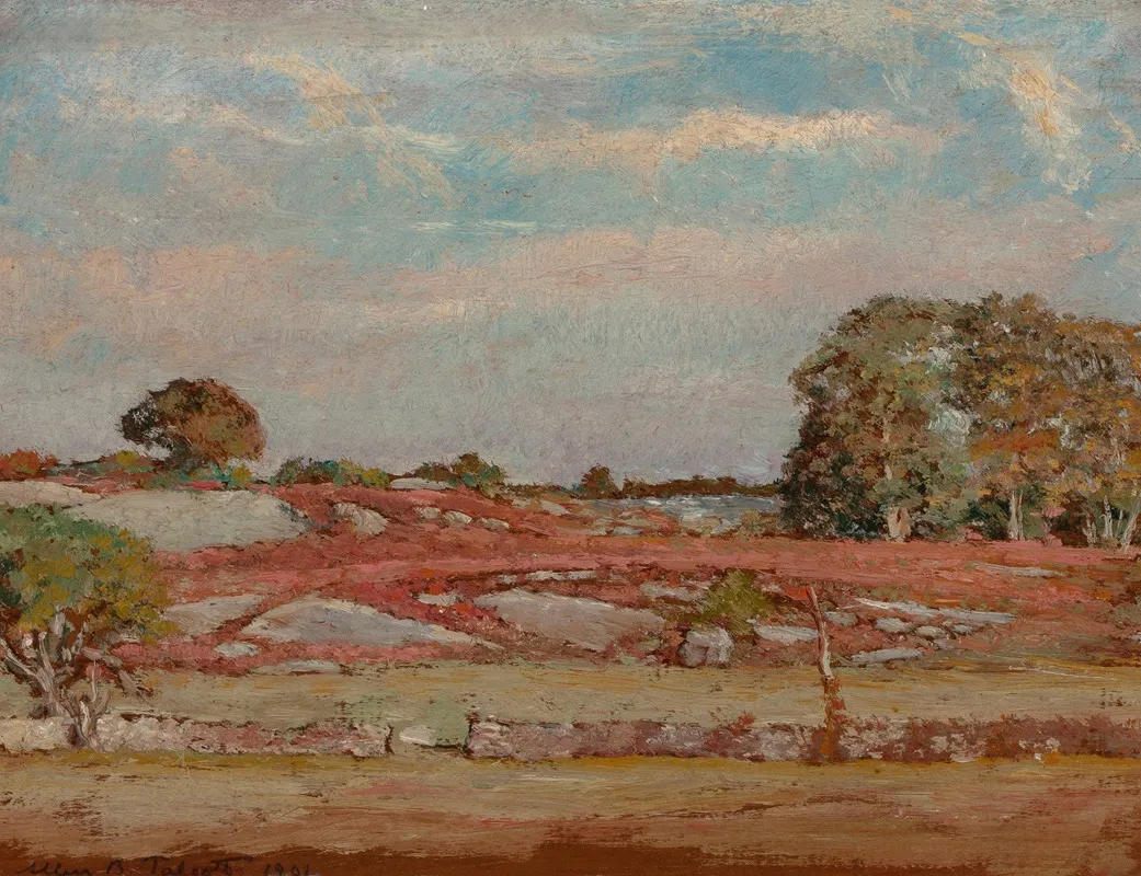 Rocks And Barberry