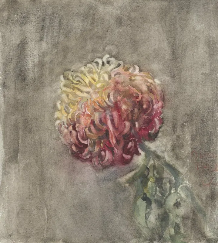 Rode Chrysant