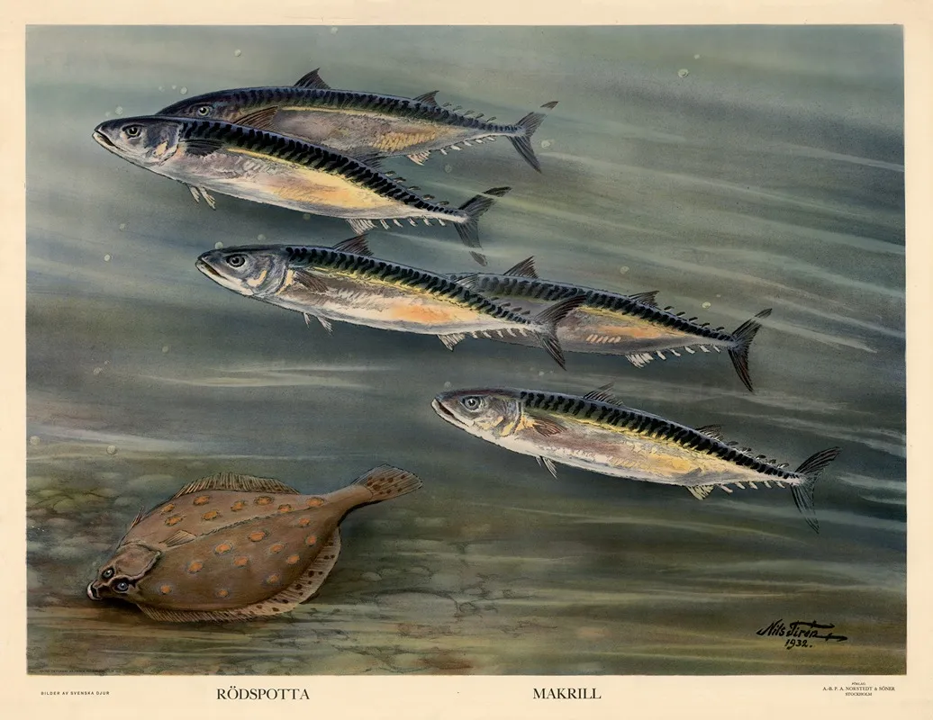 Rodspotta Makrill Wall Art by Nils Tirén - High-Resolution Digital Print