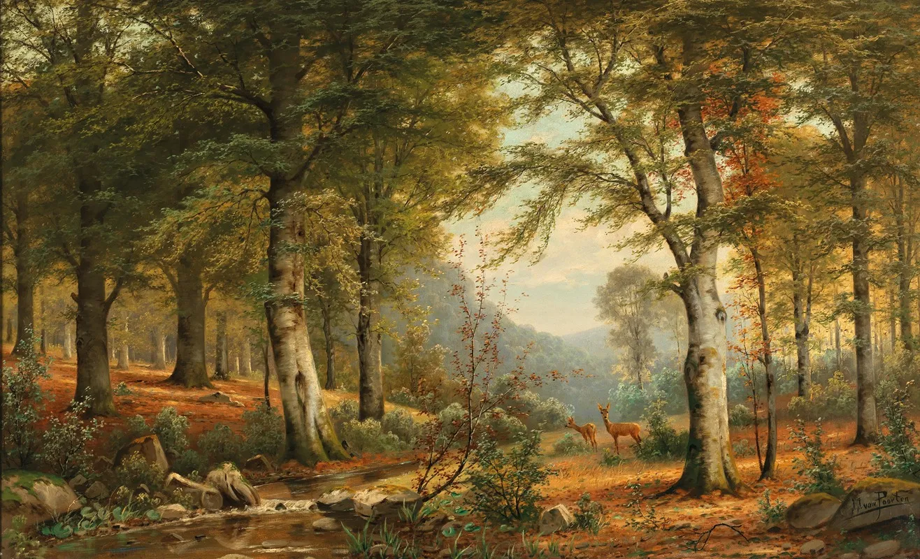 Roe Deer In The Forest 2