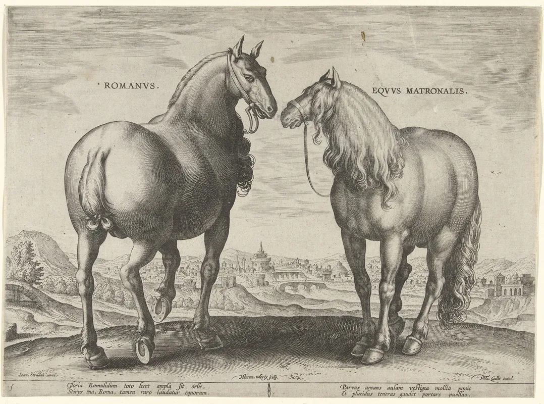 Romanus Equus Matronalis Wall Art by Jan Collaert the Elder - High-Resolution Digital Print