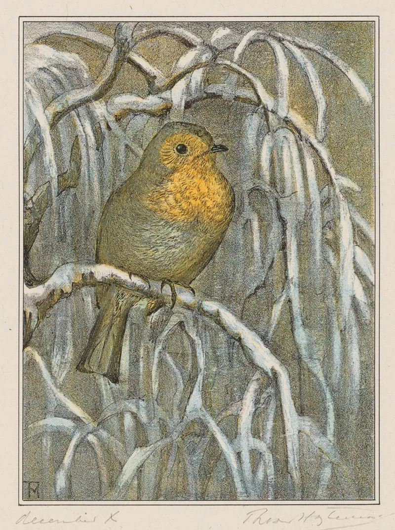 Roodborstje Op Besneeuwde Boomtak