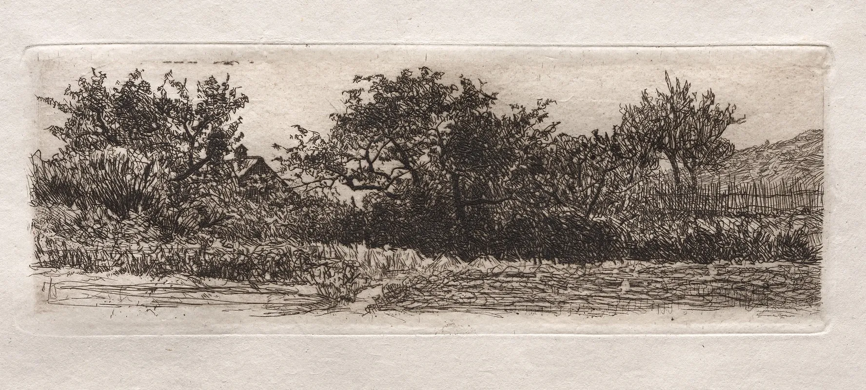 Roofs And Trees