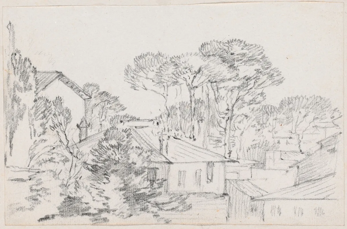 Rooftops And Umbrella Pines