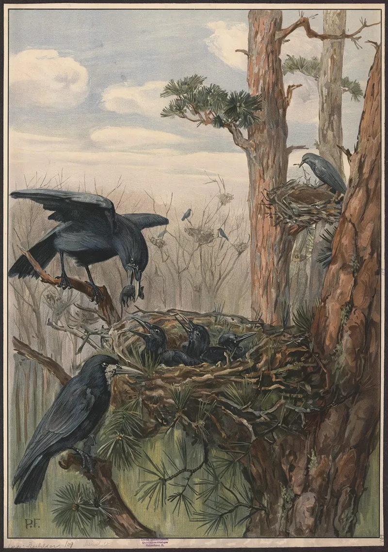Rook Wall Art by Paul Flanderky - High-Resolution Digital Print