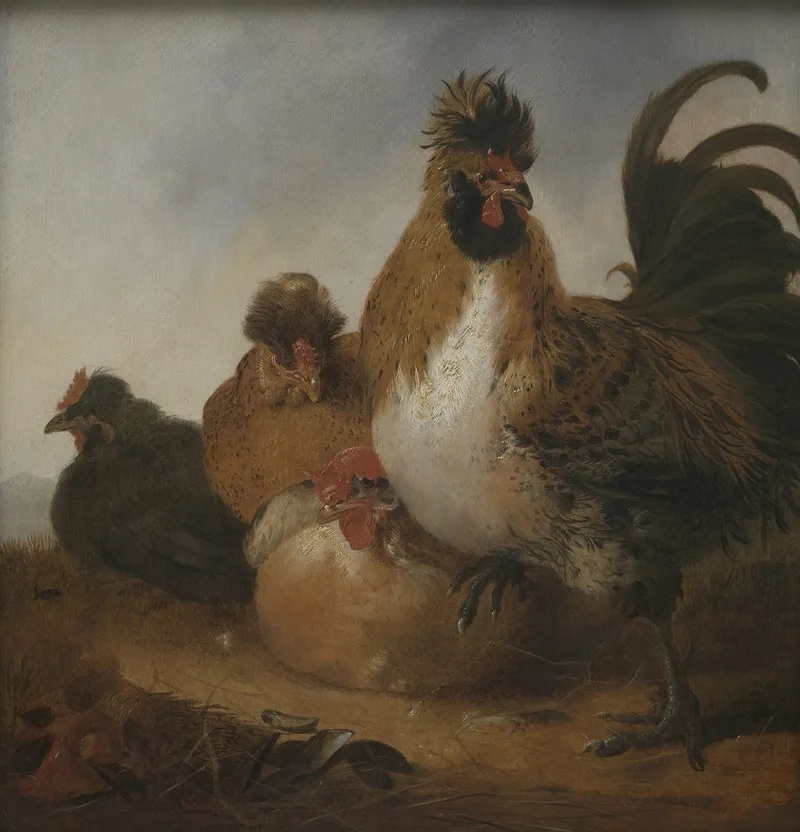 Rooster And Hens Object Type Wall Art by Aelbert Cuyp - High-Resolution Digital Print