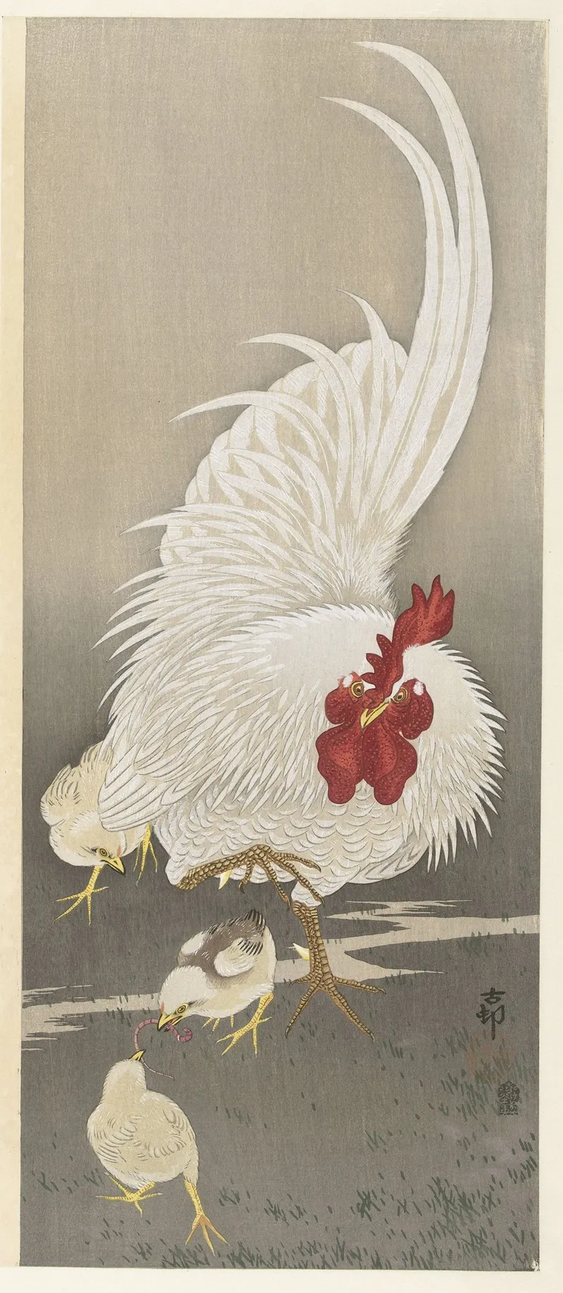 Rooster And Three Chicks Wall Art by Ohara Koson - High-Resolution Digital Print