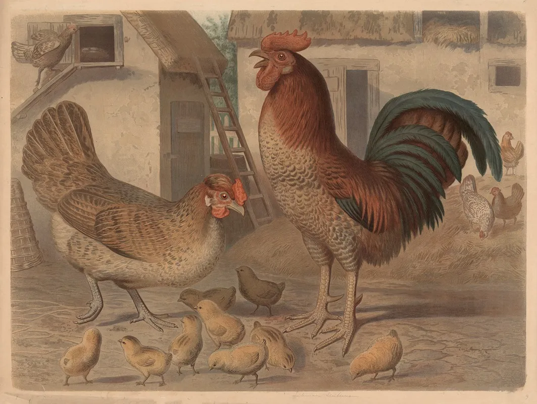 Rooster Hen And Chickens 3 Wall Art by Friedrich Specht - High-Resolution Digital Print