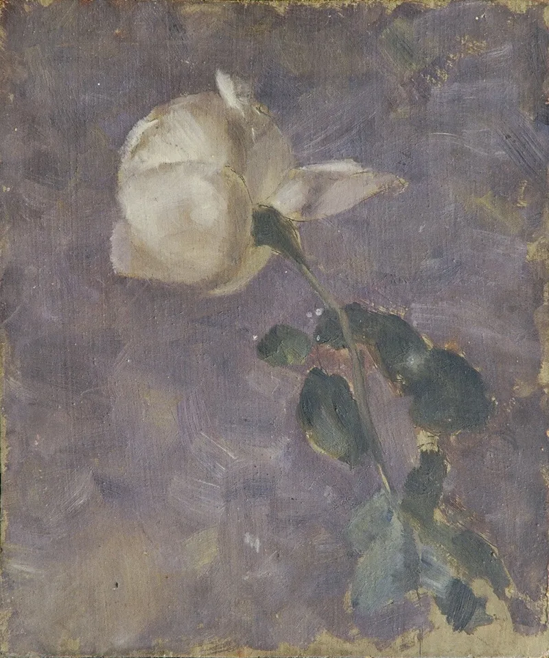 Rose 11