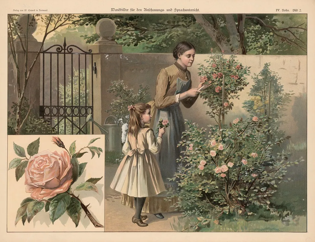 Rose 12 Wall Art by W. Crüwell - High-Resolution Digital Print