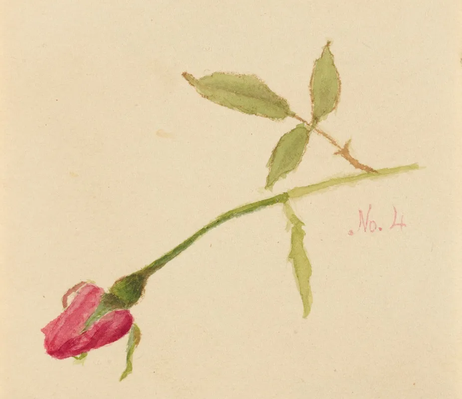 Rose 9