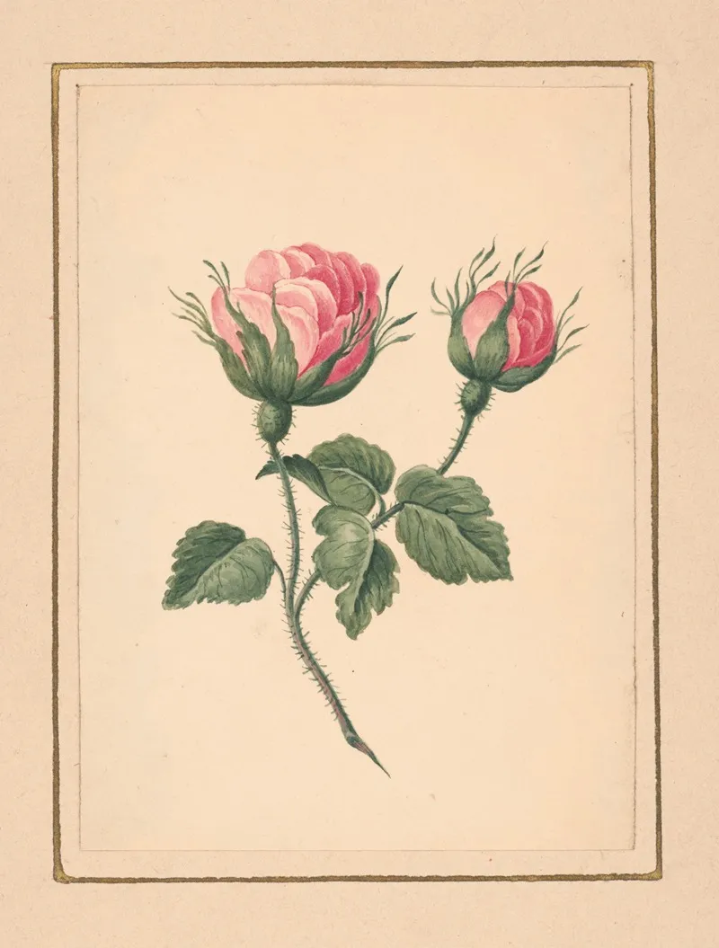 Rose Blossoms On Stem With Leaves Wall Art by William Wood Thackara - High-Resolution Digital Print