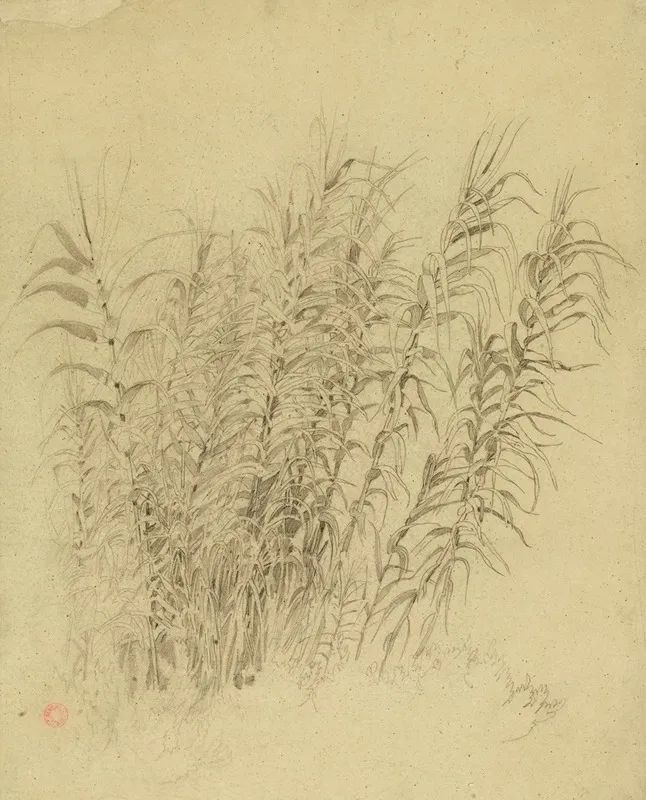 Roseaux