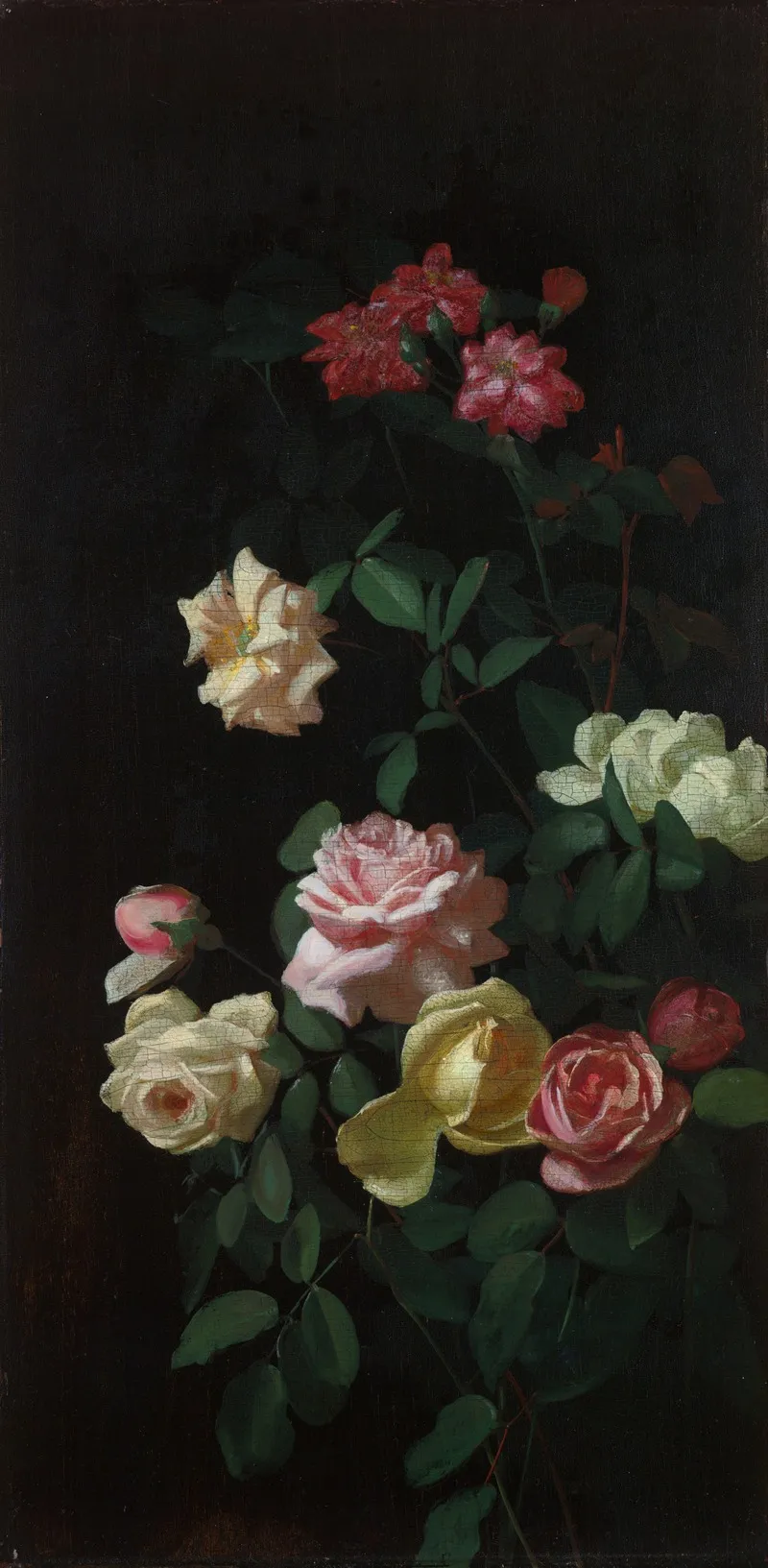 Roses 8 Wall Art by George Cochran Lambdin - High-Resolution Digital Print
