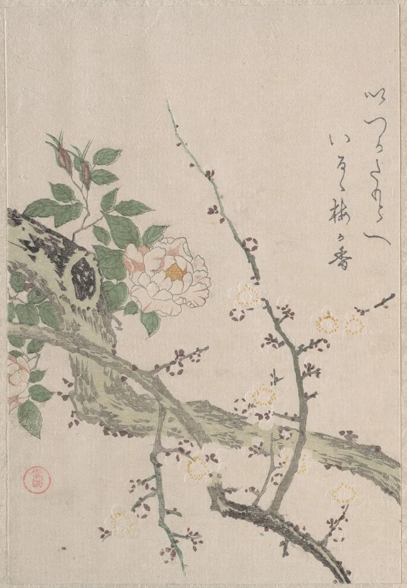 Roses And Plum Blossoms