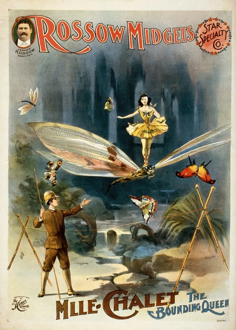 Rossow Midgets Star Speciality Co Wall Art by H.C. Miner Litho. Co. - High-Resolution Digital Print