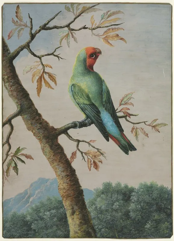 Rosy Faced Love Bird 2 Wall Art by George Edwards - High-Resolution Digital Print