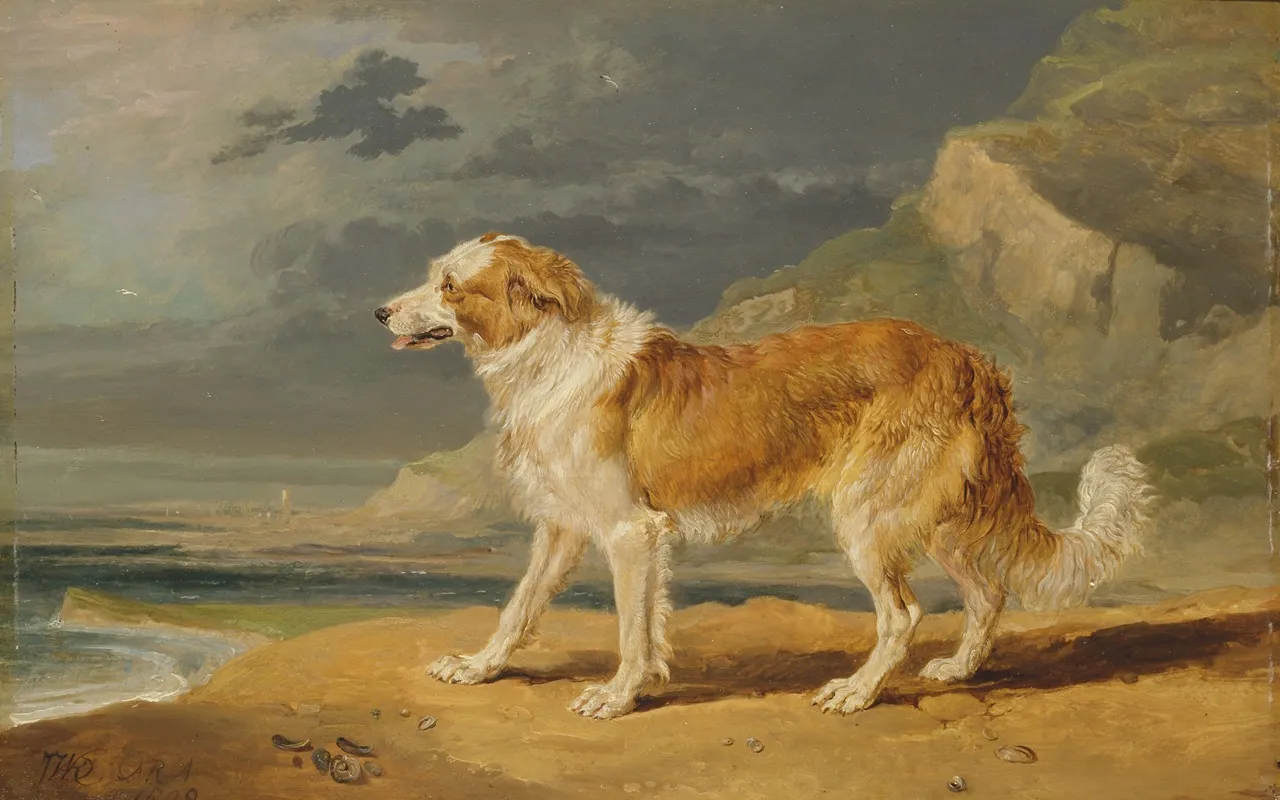 Rough Coated Collie Wall Art by James Ward - High-Resolution Digital Print