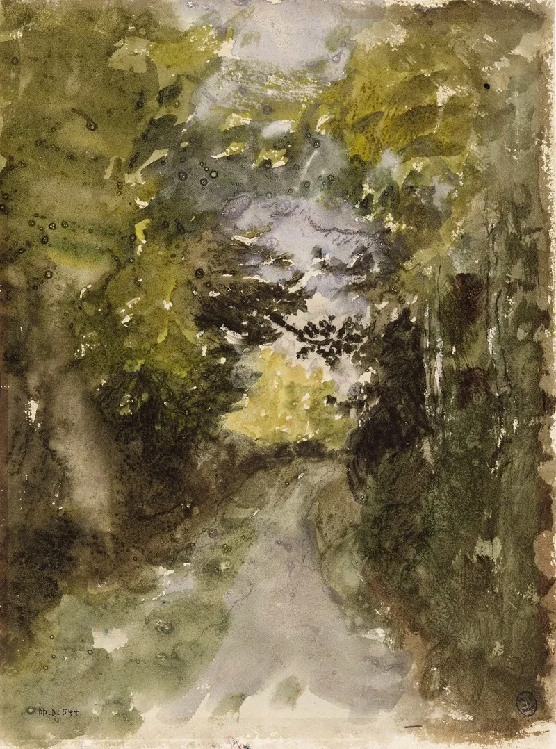 Route En Foret