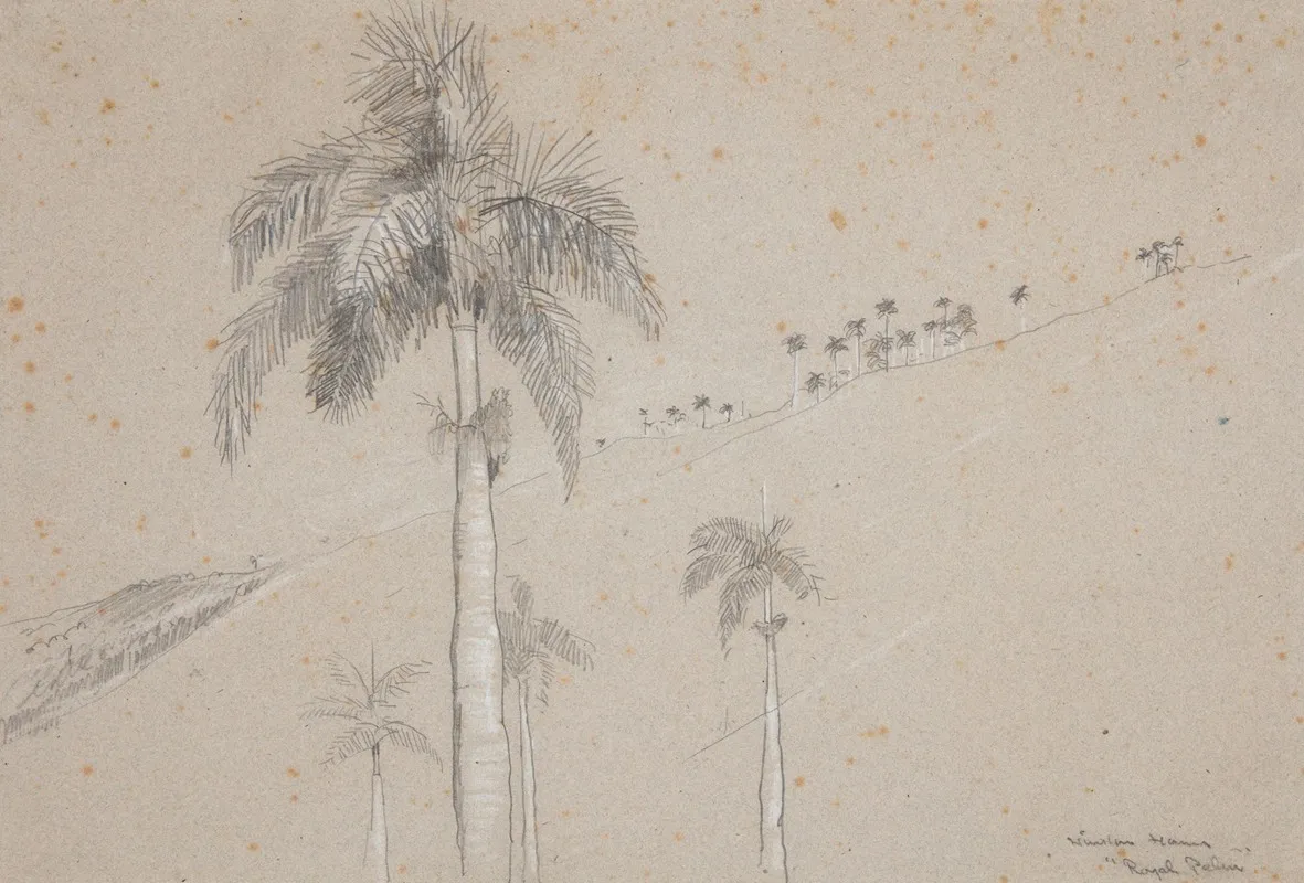 Royal Palm Cuba Wall Art by Winslow Homer - High-Resolution Digital Print