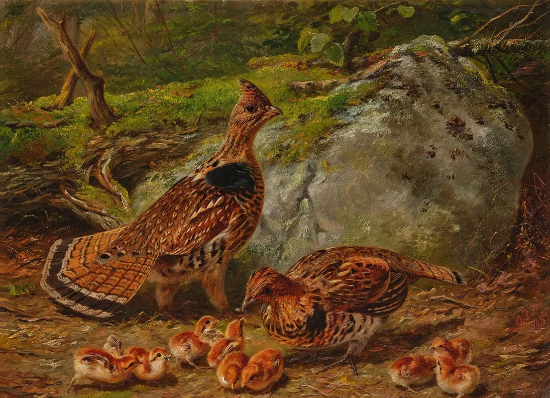Ruffed Grouse 3
