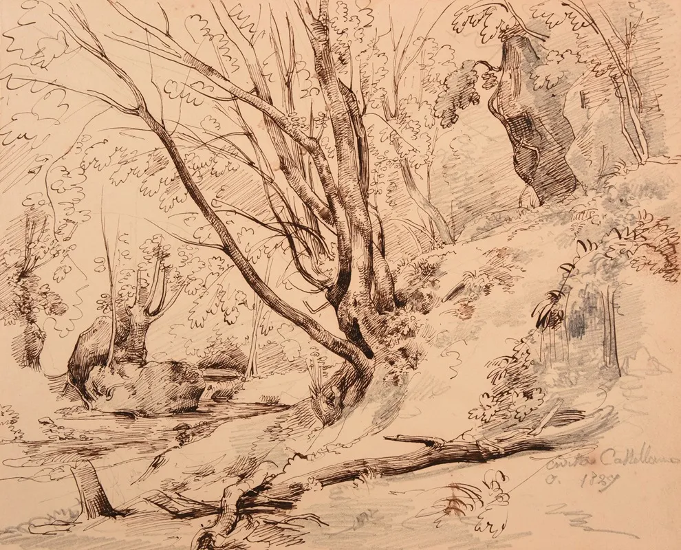 Ruisseau Et Bois A Civita Castellana