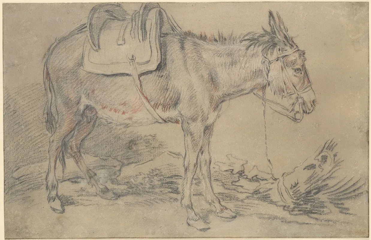 Saddled Donkey