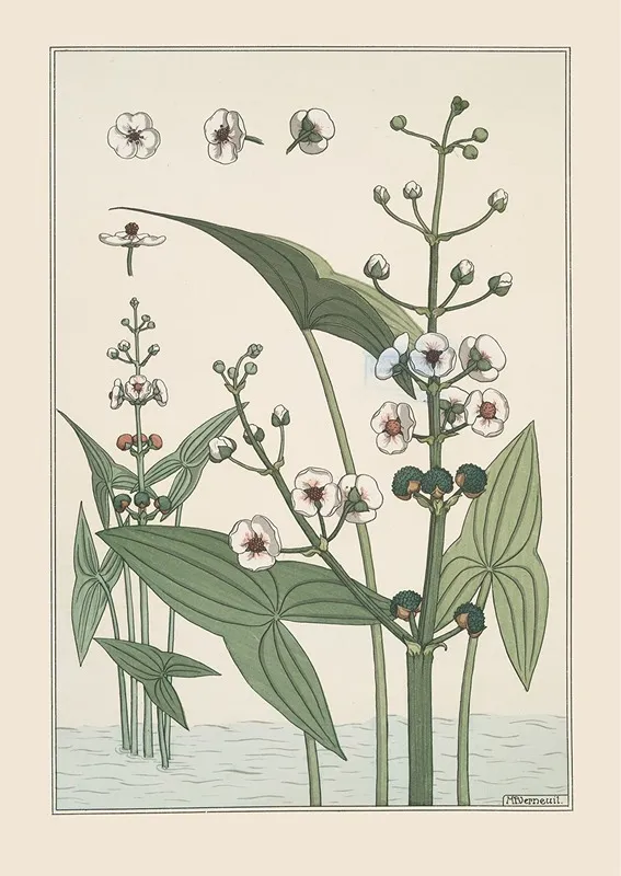 Sagittaire Wall Art by Maurice Pillard Verneuil - High-Resolution Digital Print