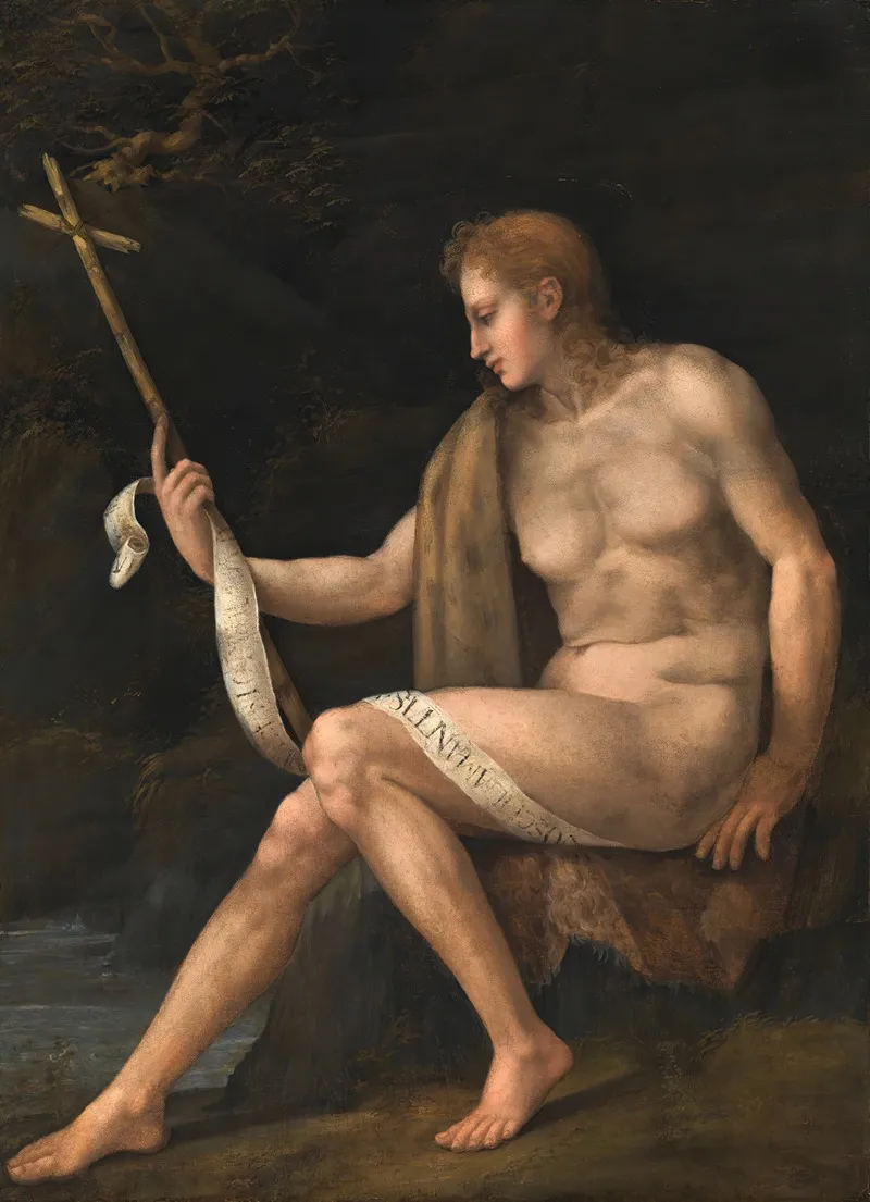 Saint John The Baptist In The Wilderness 9 Wall Art by Bacchiacca - High-Resolution Digital Print