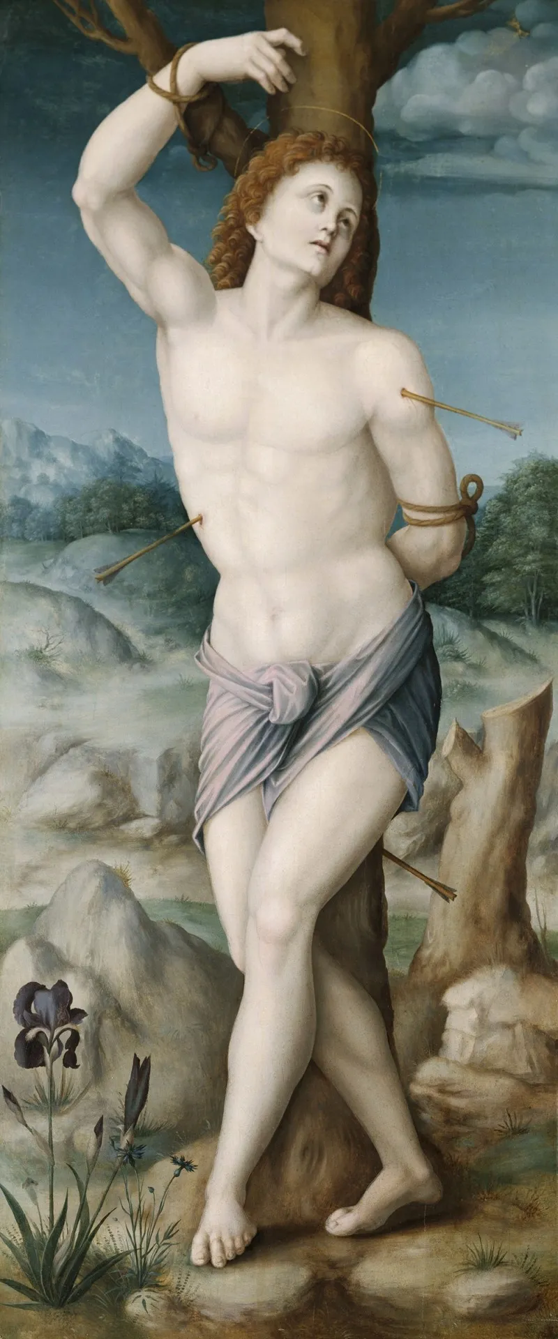 Saint Sebastian 24 Wall Art by Bacchiacca - High-Resolution Digital Print