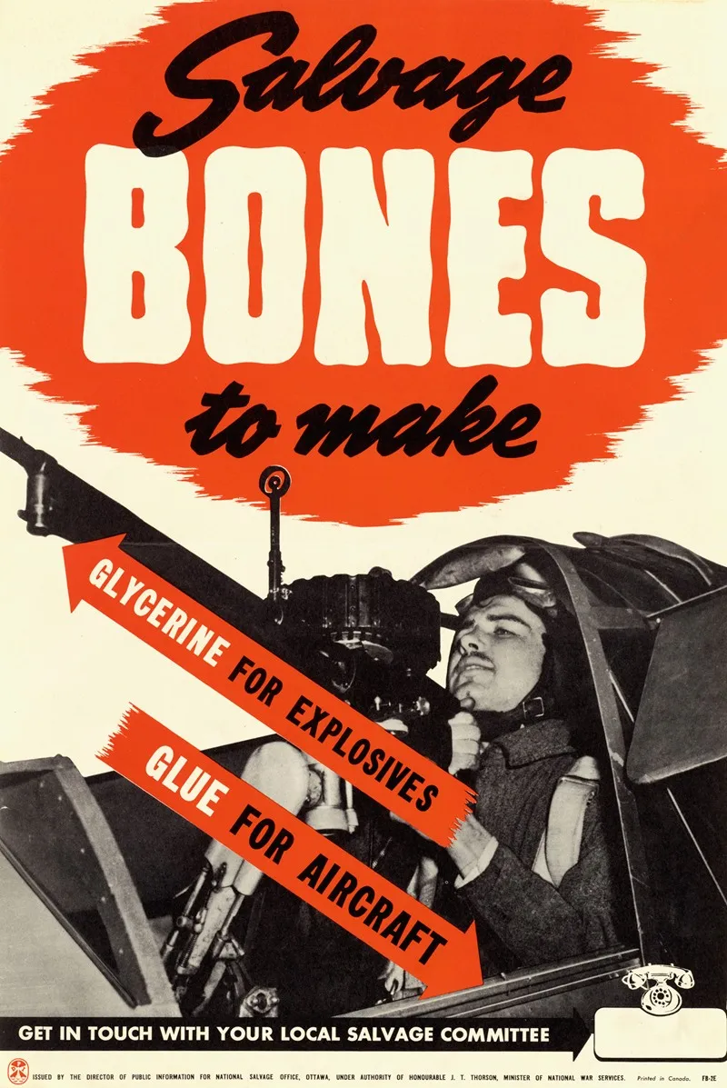 Salvage Bones