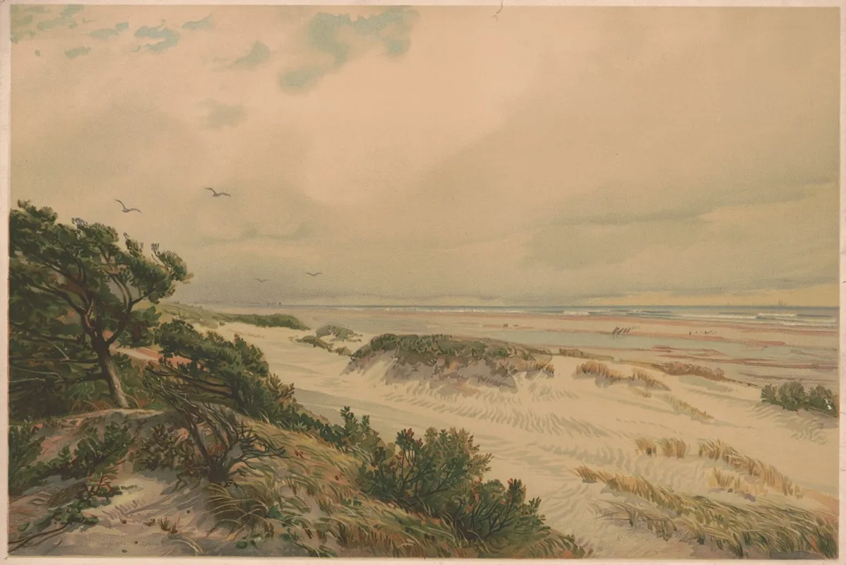 Sand Hills Of New Jersey 2