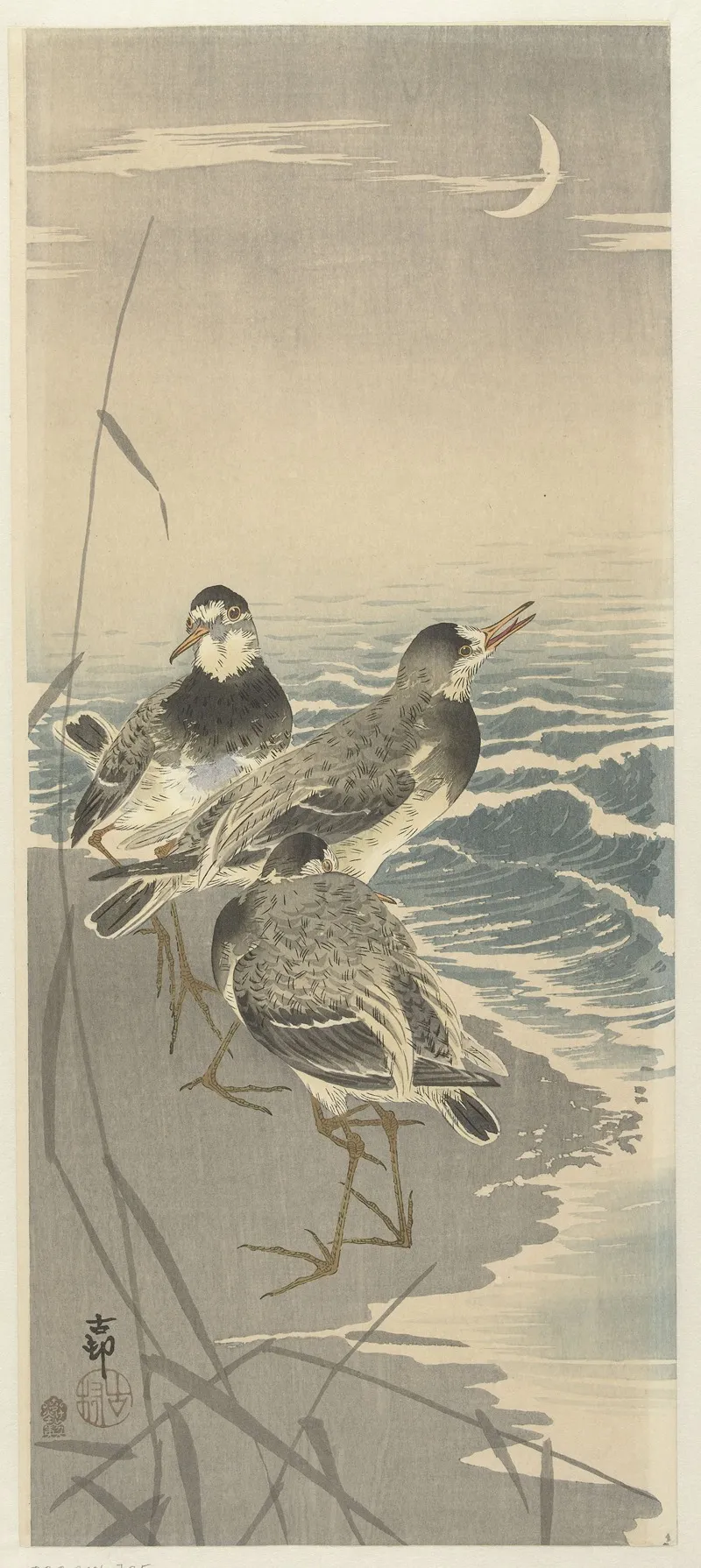 Sandpipers At Sickle Moon Wall Art by Ohara Koson - High-Resolution Digital Print