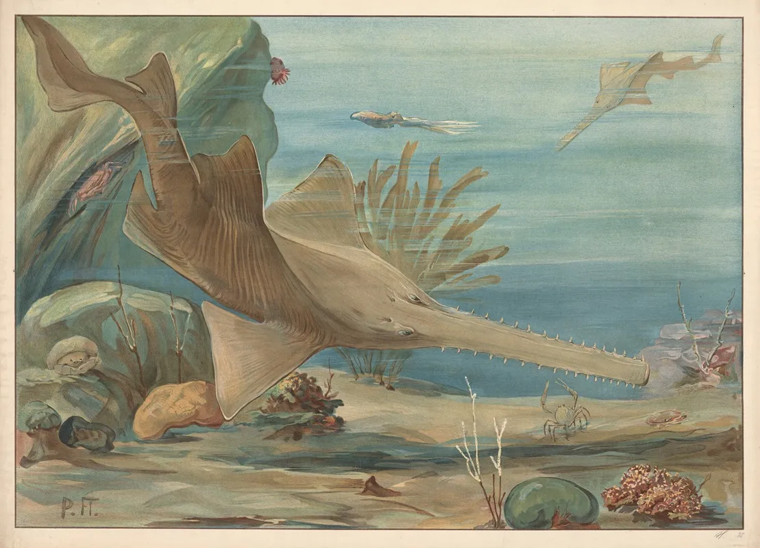 Sawshark