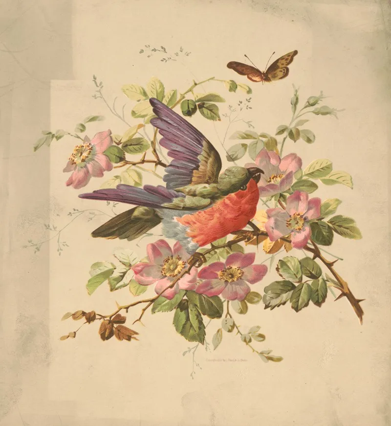 Scarlet And Green Parrot And Wild Roses