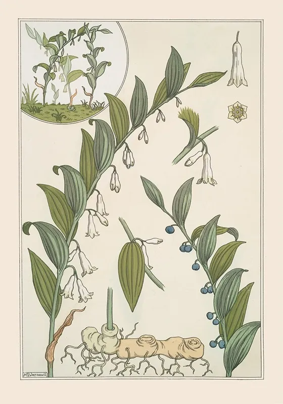 Sceau De Salomon Wall Art by Maurice Pillard Verneuil - High-Resolution Digital Print
