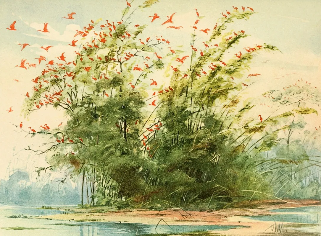Scena De Um Ninhal De Guaras Ibis Rubra Na Costa Altantica Da Ilha De Marajo Wall Art by Emil August Göldi - High-Resolution Digital Print