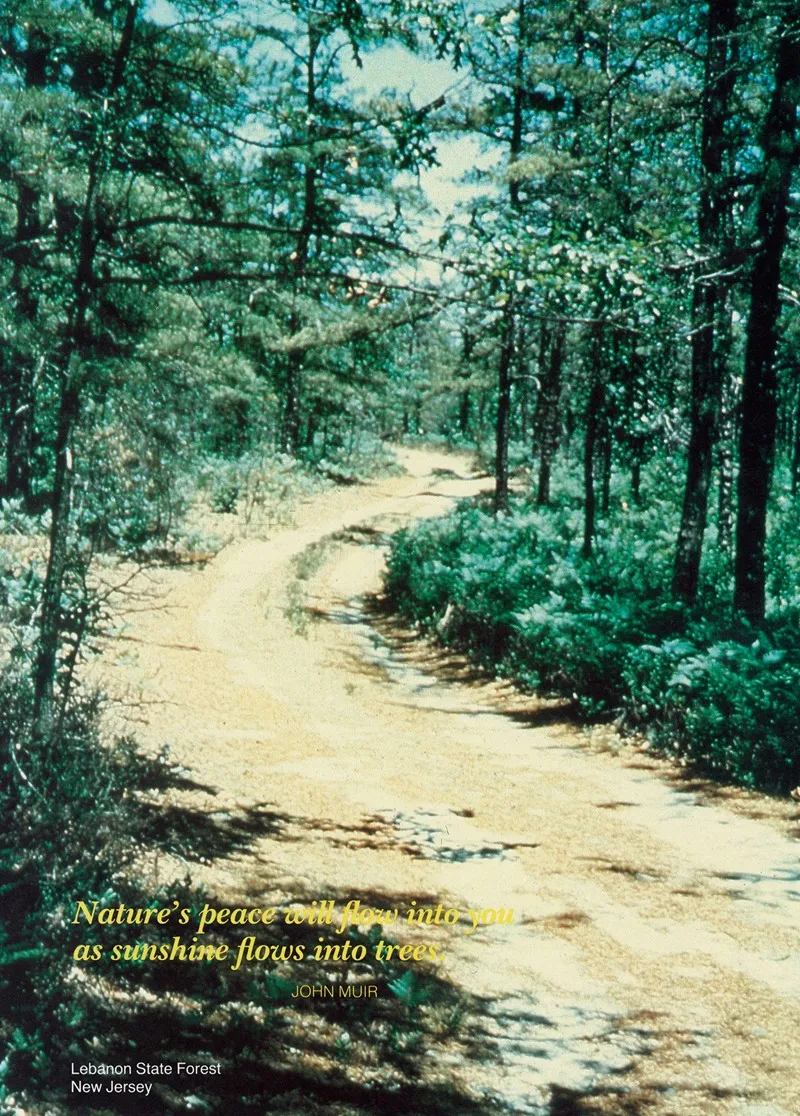 Scenically Yours Natures Peace Will Flow Into You As Sunshine Flows Into Trees Lebanon State Forest New Jersey